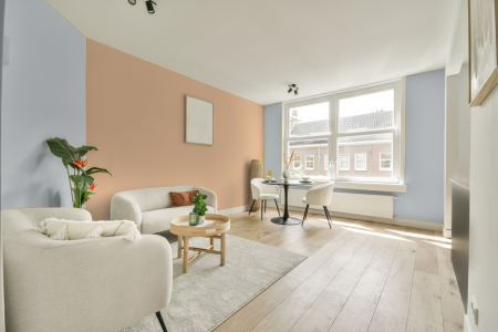 apartement met de kleur S 0505-r70b op de muren