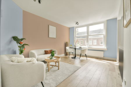 apartement met de kleur S 0507-r80b op de muren