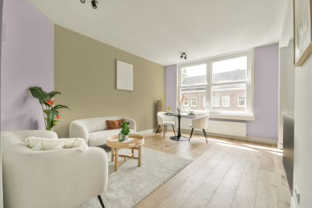 apartement met de kleur S 0510-r30b op de muren