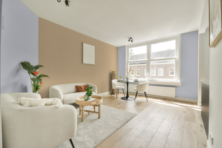 apartement met de kleur S 0510-r60b op de muren