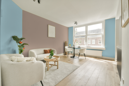 apartement met de kleur S 0520-b op de muren