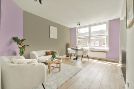 apartement met de kleur S 0520-r30b op de muren