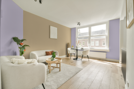 apartement met de kleur S 0520-r50b op de muren