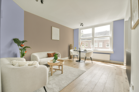 apartement met de kleur S 0520-r60b op de muren