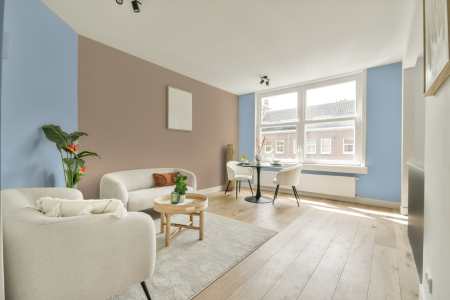 apartement met de kleur S 0520-r80b op de muren