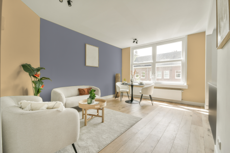 apartement met de kleur S 0520-y20r op de muren