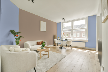 apartement met de kleur S 0525-r70b op de muren