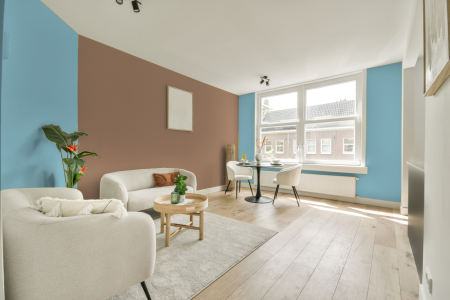 apartement met de kleur S 0530-b op de muren