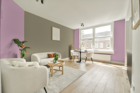 apartement met de kleur S 0530-r30b op de muren