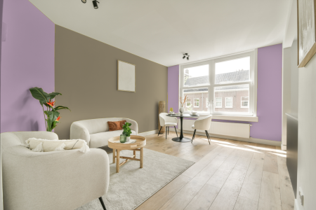 apartement met de kleur S 0530-r40b op de muren