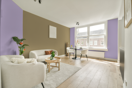 apartement met de kleur S 0530-r50b op de muren