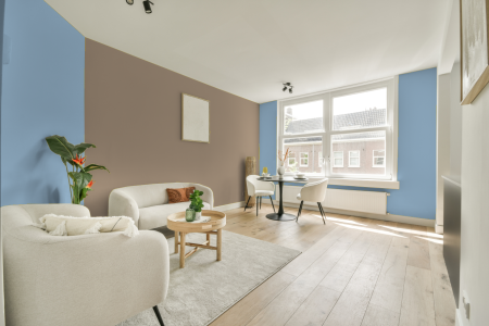 apartement met de kleur S 0530-r80b op de muren