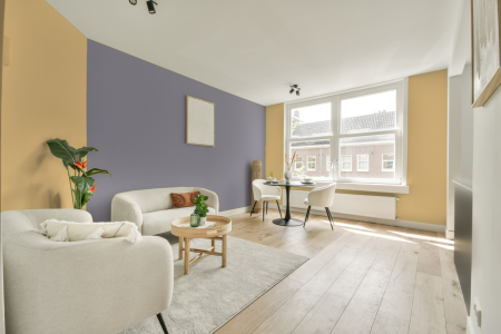 apartement met de kleur S 0530-y10r op de muren