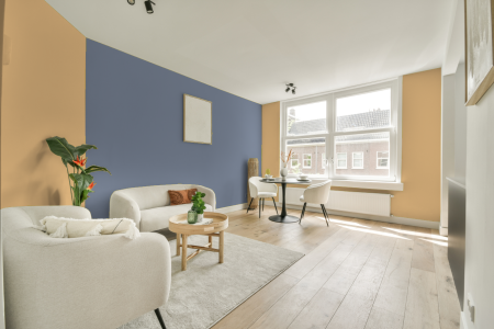 apartement met de kleur S 0530-y20r op de muren