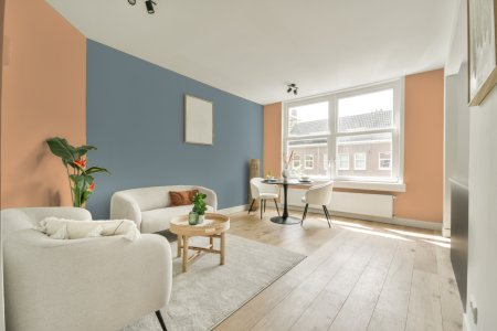 apartement met de kleur S 0530-y40r op de muren