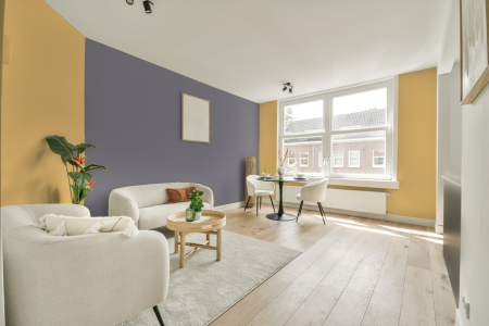 apartement met de kleur S 0540-y10r op de muren