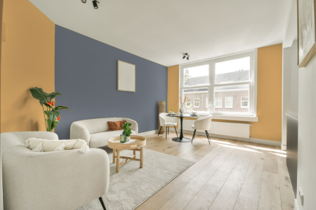 apartement met de kleur S 0540-y20r op de muren