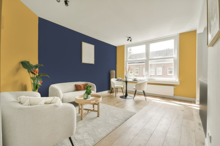 apartement met de kleur S 0550-y10r op de muren