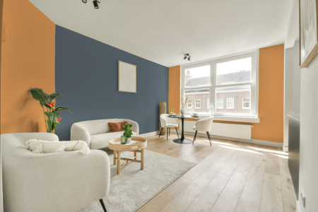 apartement met de kleur S 0550-y30r op de muren