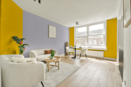 apartement met de kleur S 0580-y op de muren