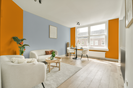 apartement met de kleur S 0580-y30r op de muren