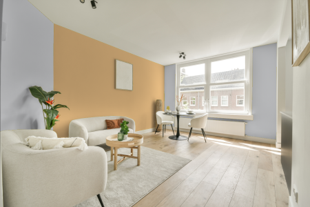 apartement met de kleur S 0603-r60b op de muren