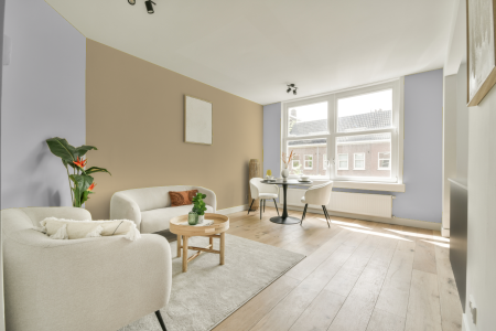 apartement met de kleur S 0804-r50b op de muren