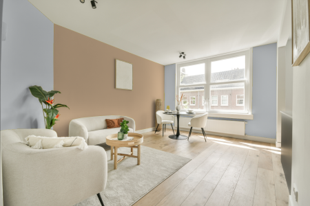 apartement met de kleur S 0804-r70b op de muren