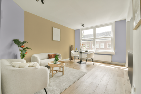 apartement met de kleur S 0907-r50b op de muren