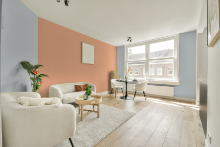 apartement met de kleur S 1002-b op de muren