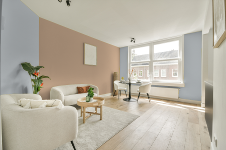 apartement met de kleur S 1005-r80b op de muren