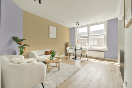 apartement met de kleur S 1010-r50b op de muren