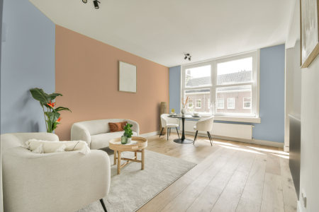 apartement met de kleur S 1010-r80b op de muren