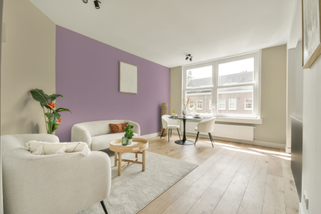 apartement met de kleur S 1010-y op de muren