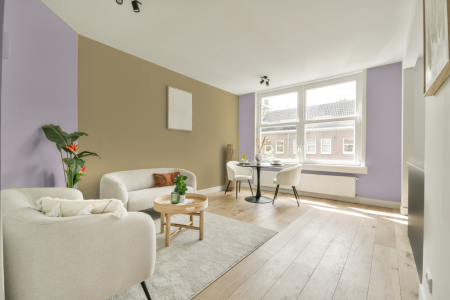 apartement met de kleur S 1015-r40b op de muren