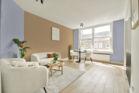 apartement met de kleur S 1015-r60b op de muren