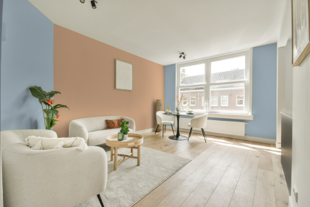 apartement met de kleur S 1015-r80b op de muren