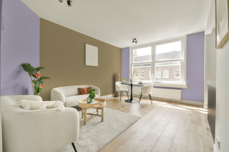 apartement met de kleur S 1020-r50b op de muren