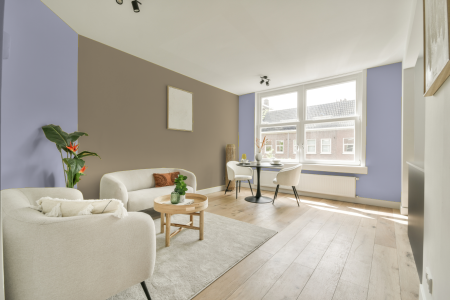 apartement met de kleur S 1020-r60b op de muren