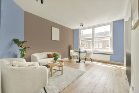 apartement met de kleur S 1020-r70b op de muren