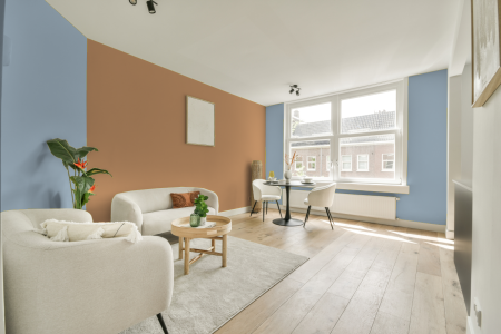 apartement met de kleur S 1020-r80b op de muren