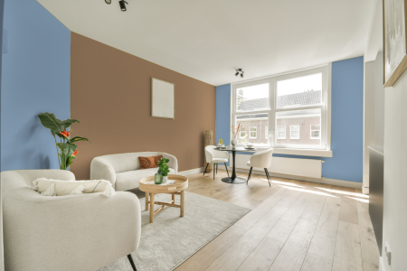 apartement met de kleur S 1030-r80b op de muren