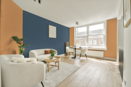 apartement met de kleur S 1040-y30r op de muren