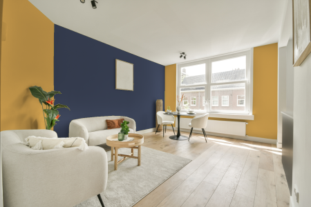 apartement met de kleur S 1050-y10r op de muren