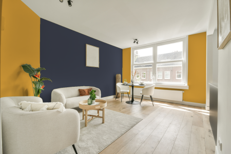 apartement met de kleur S 1060-y10r op de muren