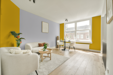 apartement met de kleur S 1070-y op de muren