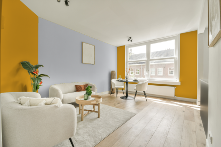 apartement met de kleur S 1070-y10r op de muren