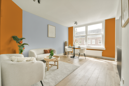 apartement met de kleur S 1070-y30r op de muren