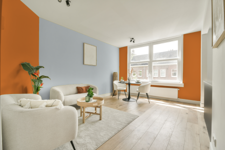 apartement met de kleur S 1070-y40r op de muren