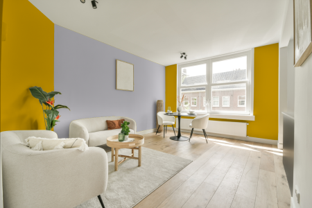 apartement met de kleur S 1080-y op de muren